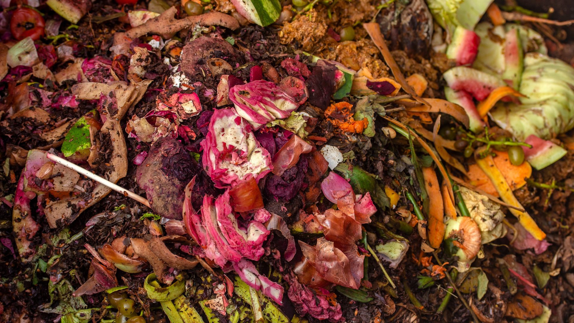Biowaste Online Workshop on Biowaste and Wastewater Management for Circular ...